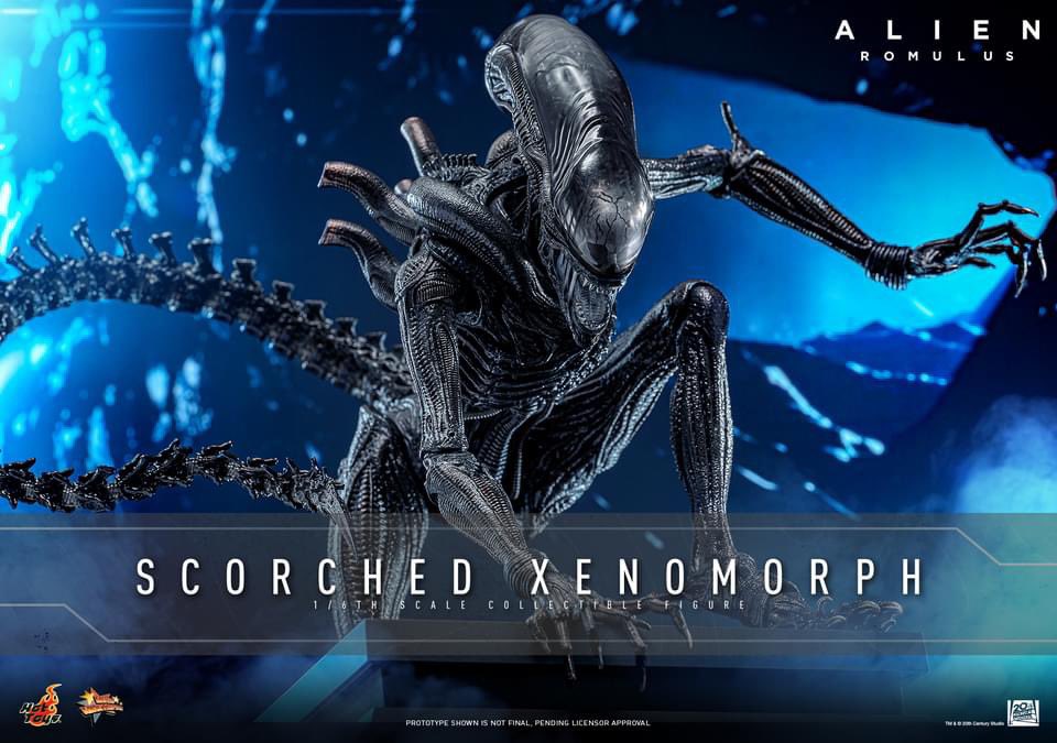 one6Update's tweet image. #HotToys has at long last announced the Scorched #Xenomorph from #AlienRomulus.

🧵1

#Sixth #SixthScale #HotToysCollectibles #ホットトイズ  #Alien