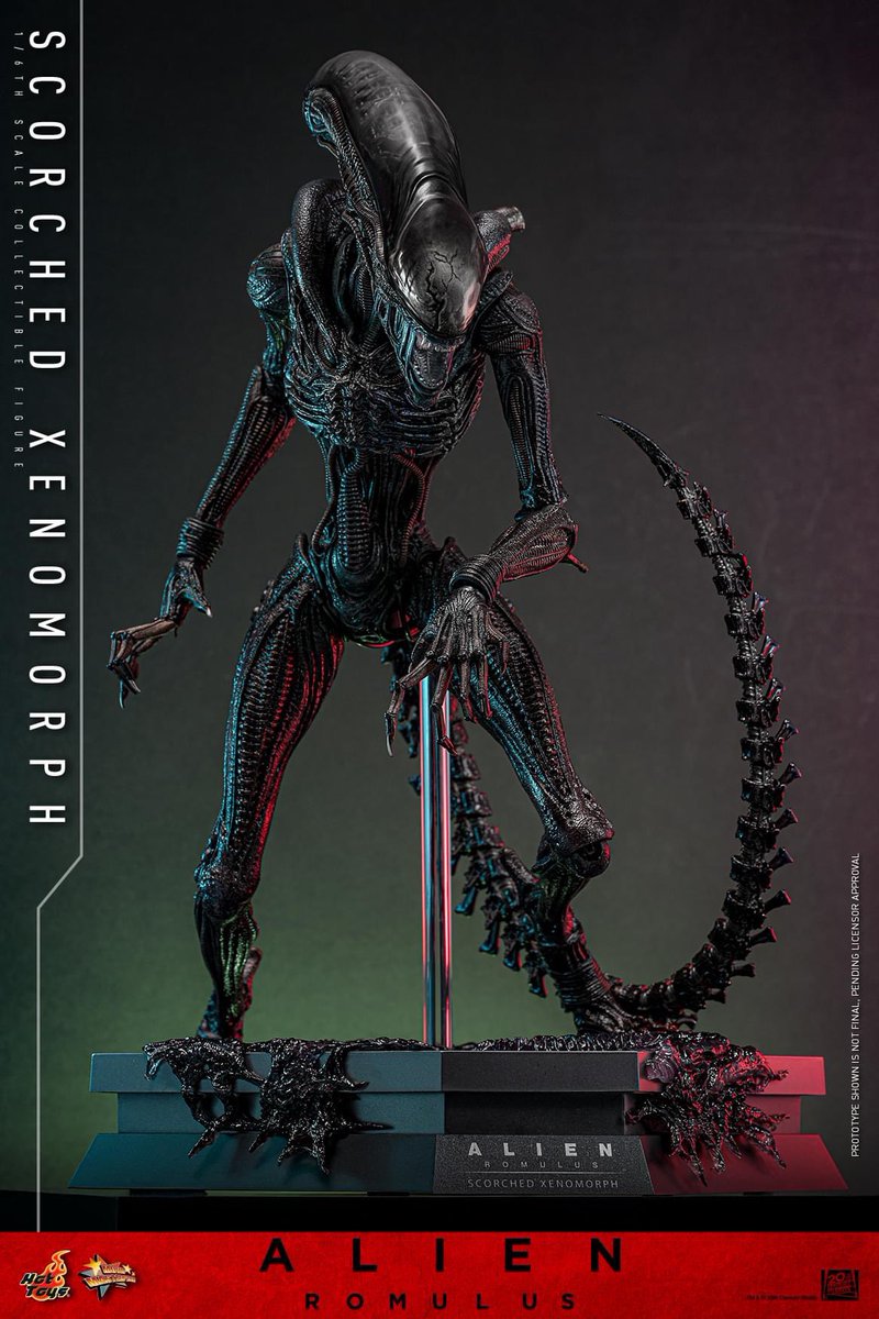 one6Update's tweet image. #HotToys has at long last announced the Scorched #Xenomorph from #AlienRomulus.

🧵1

#Sixth #SixthScale #HotToysCollectibles #ホットトイズ  #Alien