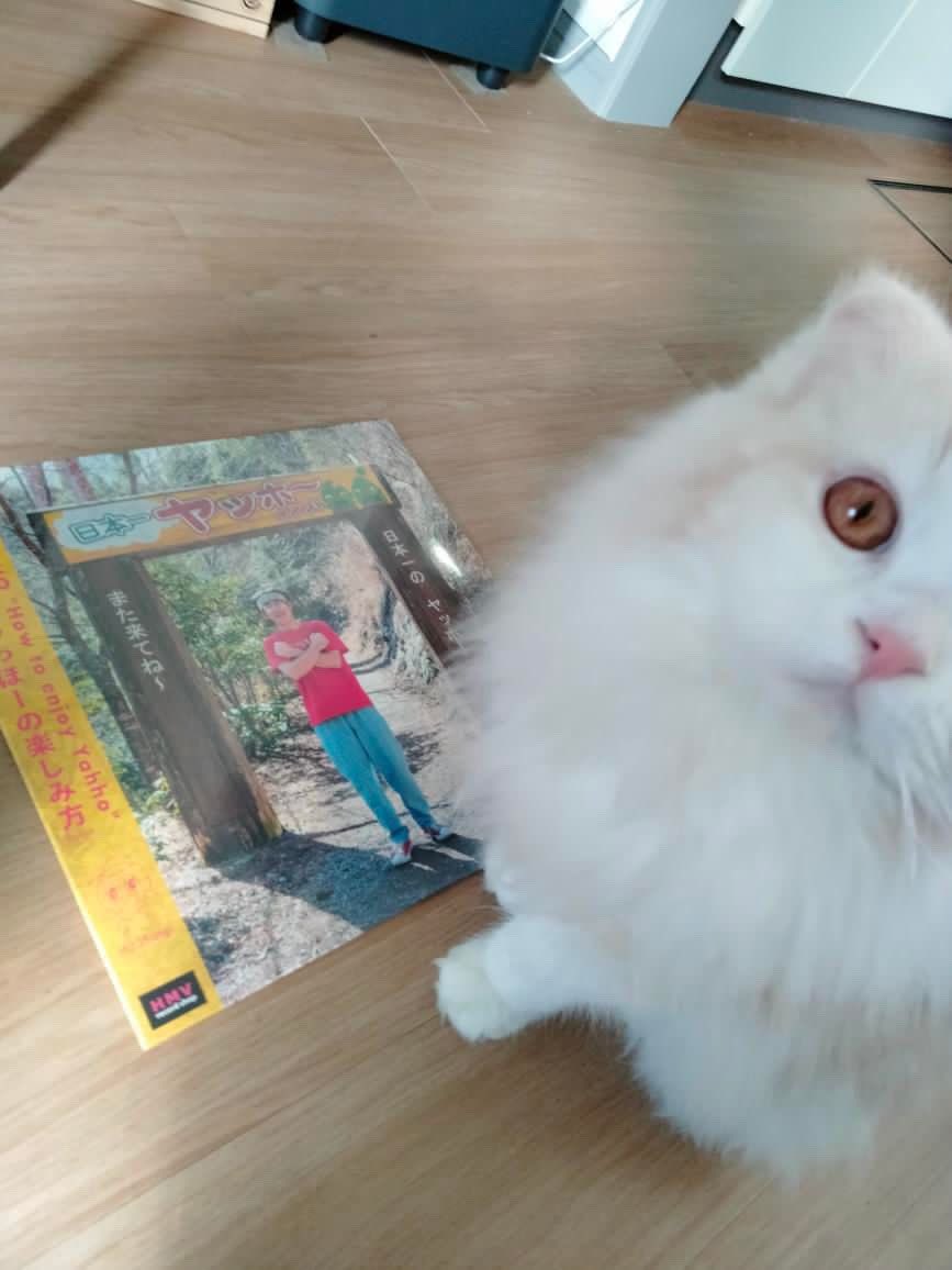yahhoooooooo086's tweet image. 【㊗️】
『やっほーの楽しみ方』のアナログレコード11/27本日発売です。何卒。

x.gd/qOhC6
