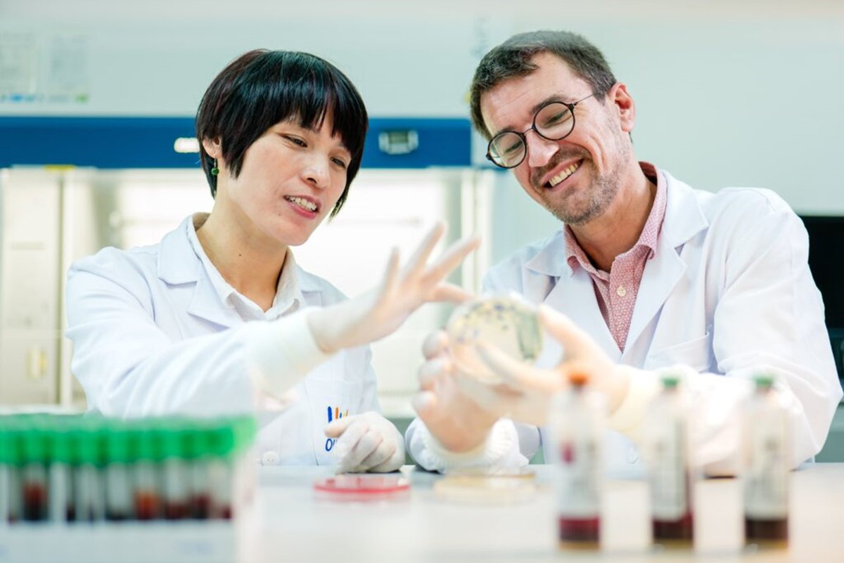 Nuffield Department of Medicine (@ndmoxford) on Twitter photo Although #AMR awareness week is over, research in this area is ongoing. And to guide it, <a href="/OUCRU_Programme/">OUCRU</a> researchers have helped to shape <a href="/WHO/">World Health Organization (WHO)</a>'s top 40 priorities for #AntimicrobialResistance research over the next five years. ๐ฆ ๐
Find out more ๐ ndm.ox.ac.uk/news/oucru-resโฆ Although #AMR awareness week is over, research in this area is ongoing. And to guide it, <a href="/OUCRU_Programme/">OUCRU</a> researchers have helped to shape <a href="/WHO/">World Health Organization (WHO)</a>'s top 40 priorities for #AntimicrobialResistance research over the next five years. ๐ฆ ๐
Find out more ๐ ndm.ox.ac.uk/news/oucru-resโฆ