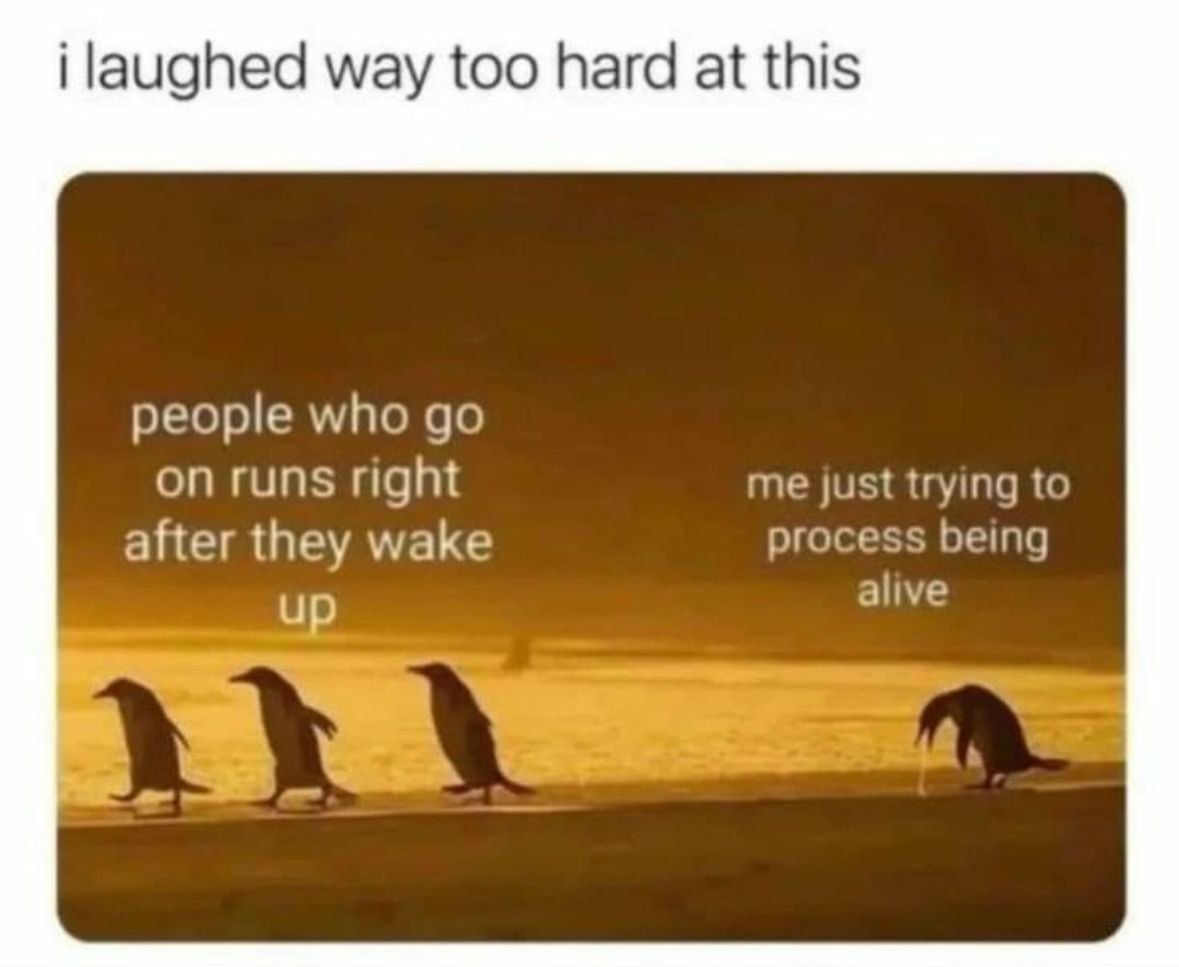 ADHD Memes (@adhdforreal) on Twitter photo 