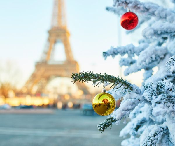 CompareFerries's tweet photo. 🎅A Christmas market is the perfect place to get into the holiday spirit, why not consider a Christmas in Paris? 🎅
Return crossings from £99* https://t.co/PfcTdgUtBQ
The City's Markets are between - Nov 16, 2024 to Jan 1, 2025
( Based on 2 adults with a car) https://t.co/1dYM9N6fgs