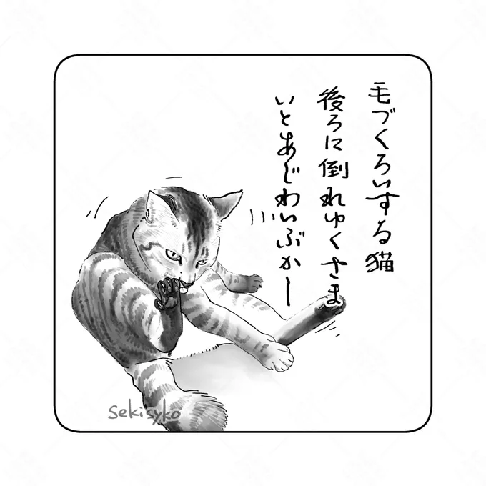 雑日記
下腹部から胸の方へ毛繕いするとどうしても重心が動いて後ろに倒れてしまう。最終的にボテッと後ろに転がり「おのれニンゲンめ」的な目で見てくる 