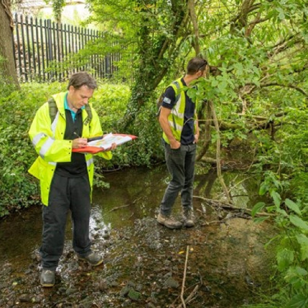sewateruk's tweet photo. We are delighted to announce the completion of a river restoration project in Maidenhead, Berkshire, in partnership with @SE_Rivers_Trust; focused on enhancing biodiversity and improving habitats: https://t.co/yZZCS4BPU5

#SouthEastWater💦 #ProtectingOurRivers https://t.co/t2gUthnXbJ