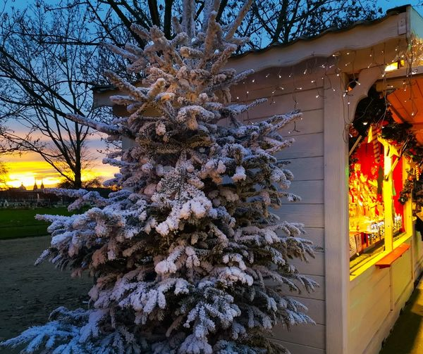 CompareFerries's tweet photo. 🎅A Christmas market is the perfect place to get into the holiday spirit, why not consider a Christmas in Paris? 🎅
Return crossings from £99* https://t.co/PfcTdgUtBQ
The City's Markets are between - Nov 16, 2024 to Jan 1, 2025
( Based on 2 adults with a car) https://t.co/1dYM9N6fgs