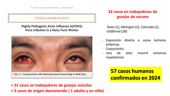 Elisa Pérez-Ramírez tweet media