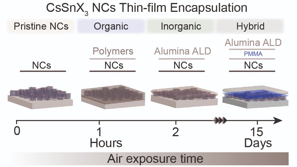 Loredana Protesescu (@protesescugroup) on Twitter photo "Breakthrough in tin halide perovskite stability! 🎉 A hybrid encapsulation approach enables the air stability of CsSnBr3 and CsSnI3 nanocrystal thin films —unlocking new possibilities for optoelectronics. 🌟
pubs.acs.org/doi/full/10.10…, Well done <a href="/gahlot_kushagra/">Kushagra Gahlot</a> "Breakthrough in tin halide perovskite stability! 🎉 A hybrid encapsulation approach enables the air stability of CsSnBr3 and CsSnI3 nanocrystal thin films —unlocking new possibilities for optoelectronics. 🌟
pubs.acs.org/doi/full/10.10…, Well done <a href="/gahlot_kushagra/">Kushagra Gahlot</a>