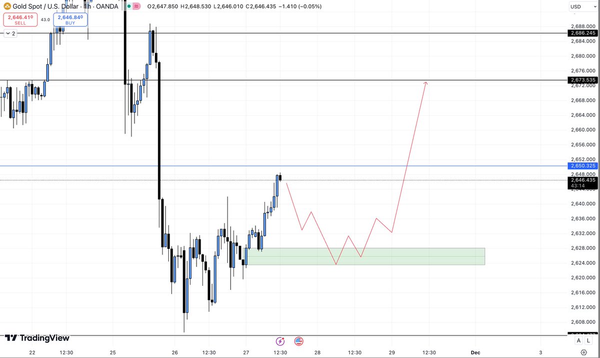 $XAUUSD

According to the 1h analysis, I'm personally looking for a buying opportunity, just for the retracement, near major key levels 2673.53 &amp; 2686.24.

So we can expect 500+ pips to move ahead from 2624.00 &amp; 2622.00 because it is a good area for buyers.

Don’t place any