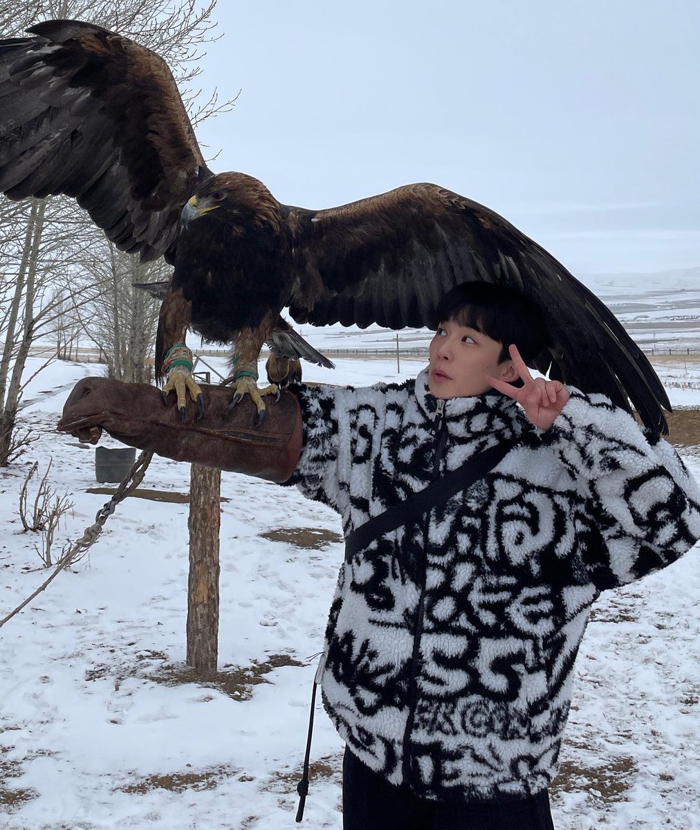 JEYOU1102's tweet photo. 작년 이맘때쯤 올라온 제유와 눈 그리고 동물들..🐕🦅 https://t.co/Eyv1ygFSlE