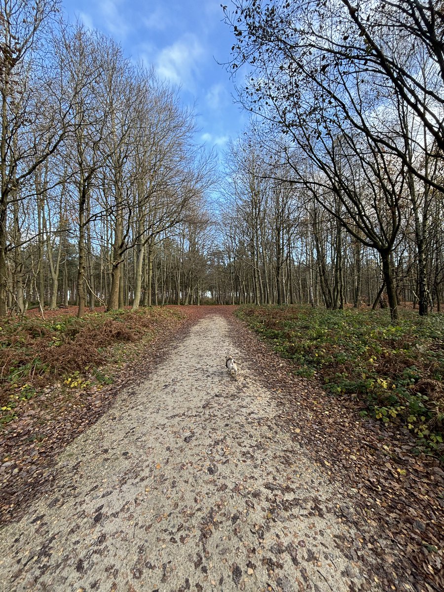 Pix 🎨 tweet media