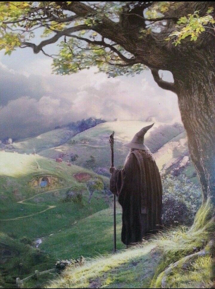 milesnwalkers's tweet photo. https://t.co/s0cYAMWZre