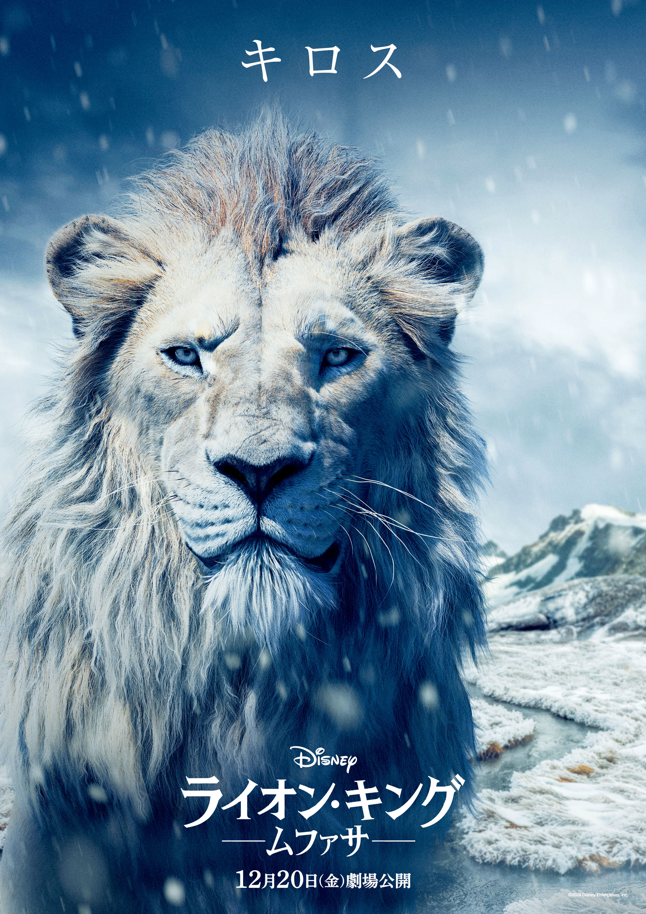 気高くて強靭、知能も高い百獣の王 ライオンさんの銀貨 ギャラリー：百獣の王ライオンの様々な表情 写真11点