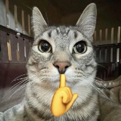 implutooo3's tweet photo. #NewProfilePic https://t.co/4otC47LFJ0