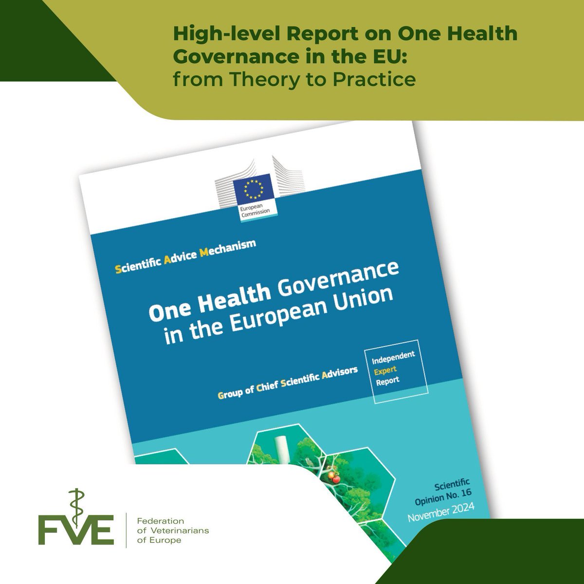 FVEurope's tweet photo. 📢 The Scientific Advice Mechanism to the European Commission has published its latest advice on “One Health governance in the EU”.
Read the full report here: https://t.co/eWThKApZI8
#OneHealth #EUComission #FVE https://t.co/7i2PQajFmM