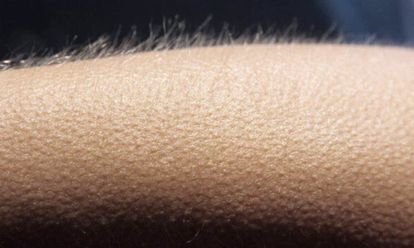 Nocktis_Chcb's tweet image. #ArcaneSeason2