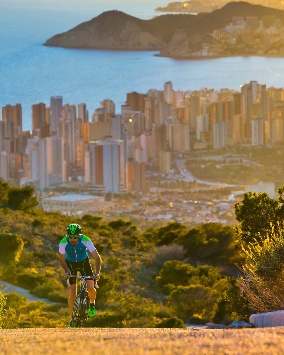 Turismo de Benidorm tweet media