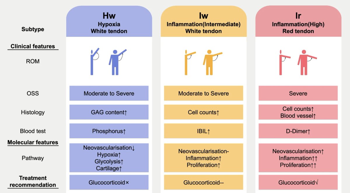 If you can subtype tendinopathy - then those with a high inflammatory proliferative subtype -will respond positively to glucocorticoid injections 
nature.com/articles/s4146…