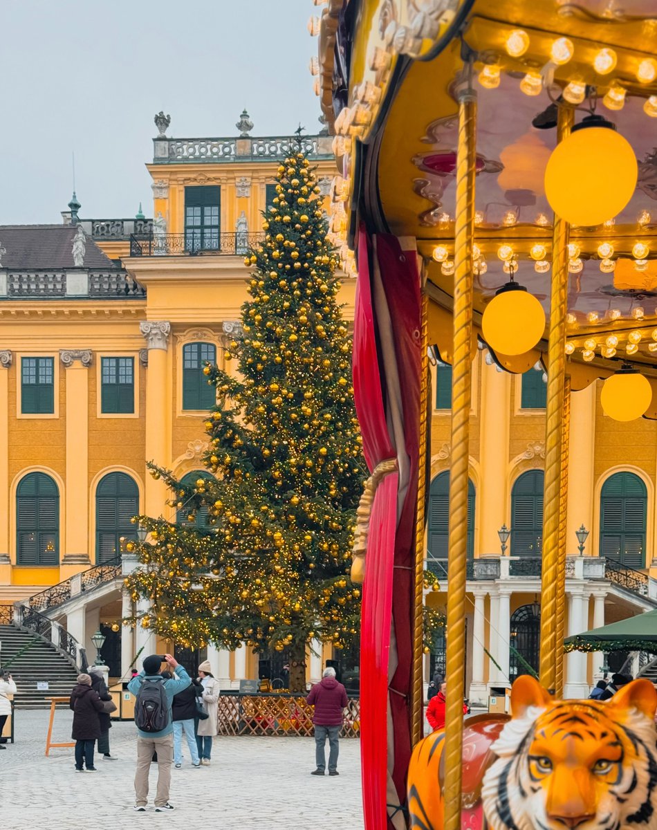 Can’t make it to Vienna this winter? 😔🎄 No worries! 

Join us live on Instagram <a href="/vienna/">Vienna</a> for our Vienna/Now: Live Walk at <a href="/schonbrunn/">Schönbrunn Palace</a> Palace on November 28th at 4 PM CET/UTC+1, and let’s get into the Christmas spirit together! ⭐ Are you tuning in?

#ChristmasInVienna #ViennaNow