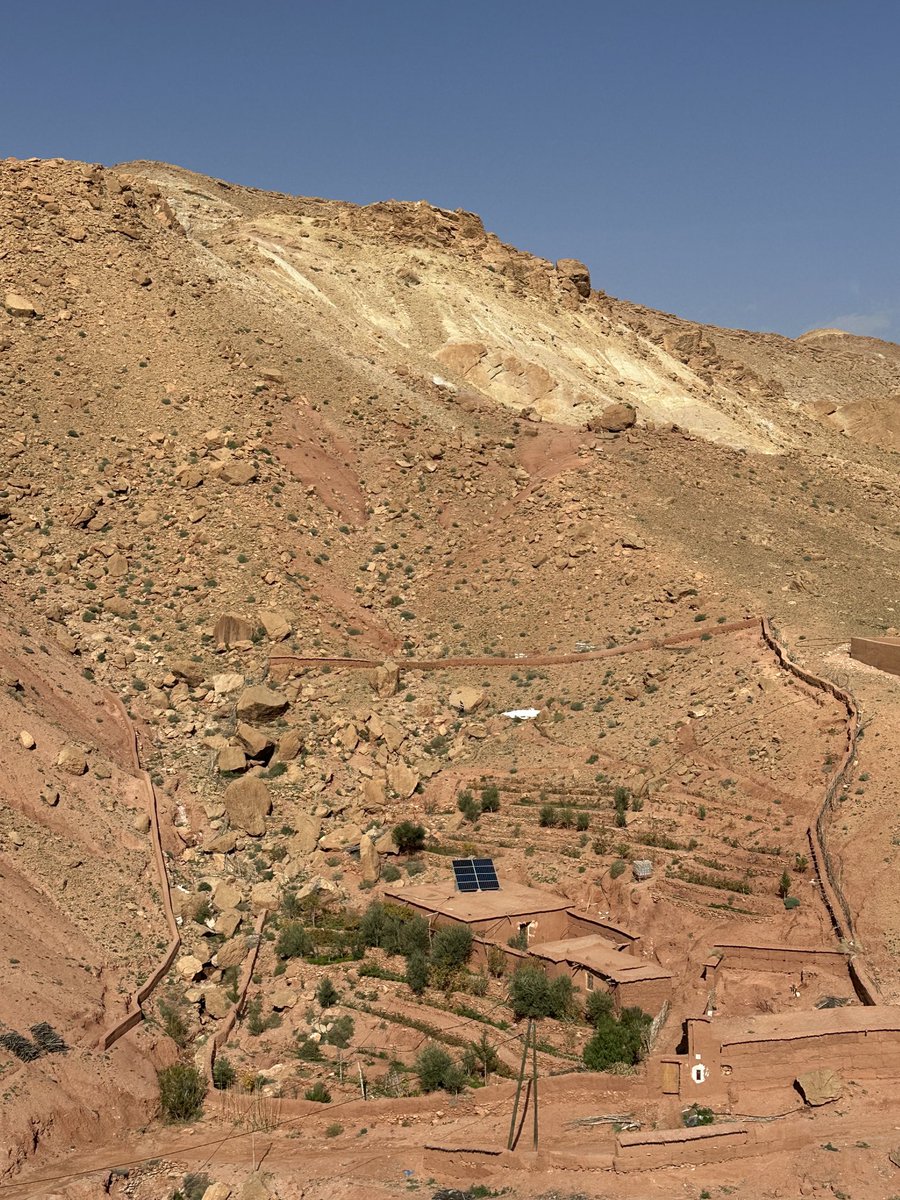 John Kirkegaard tweet media