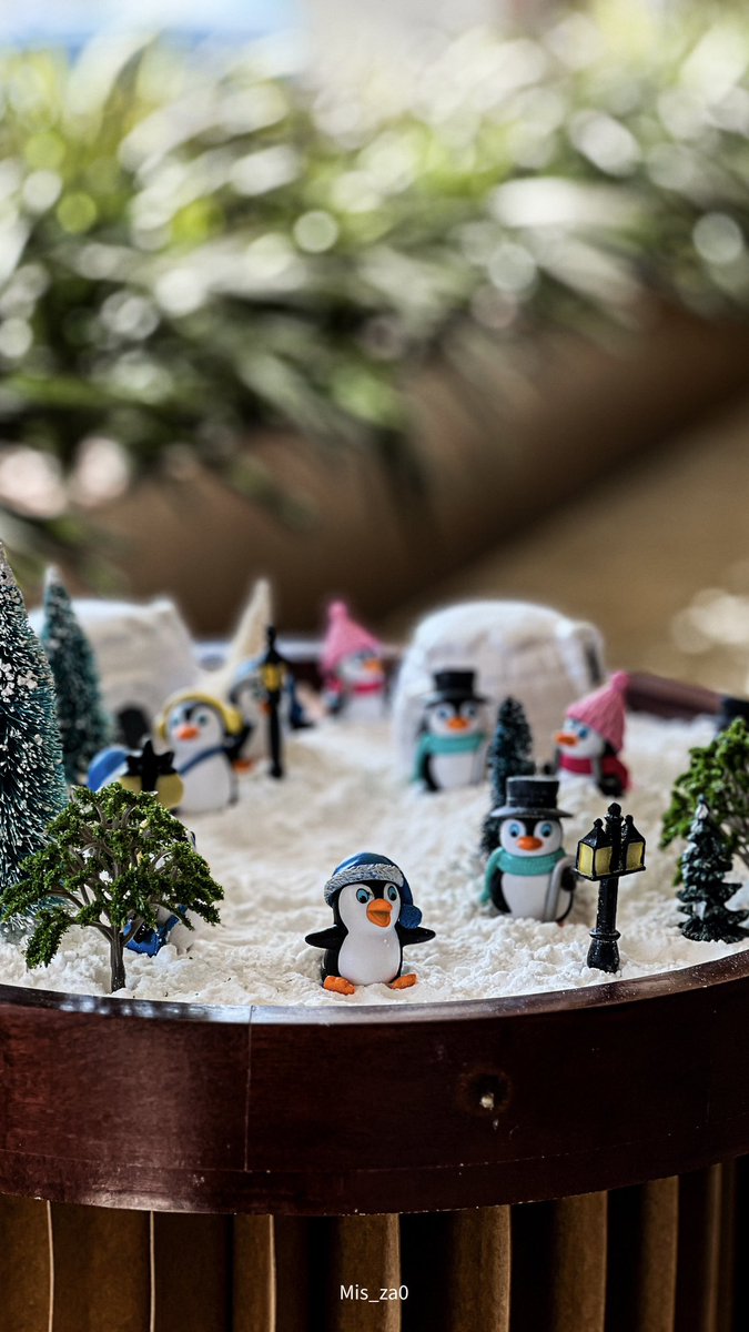 Mis ☕️ | 📸 tweet media