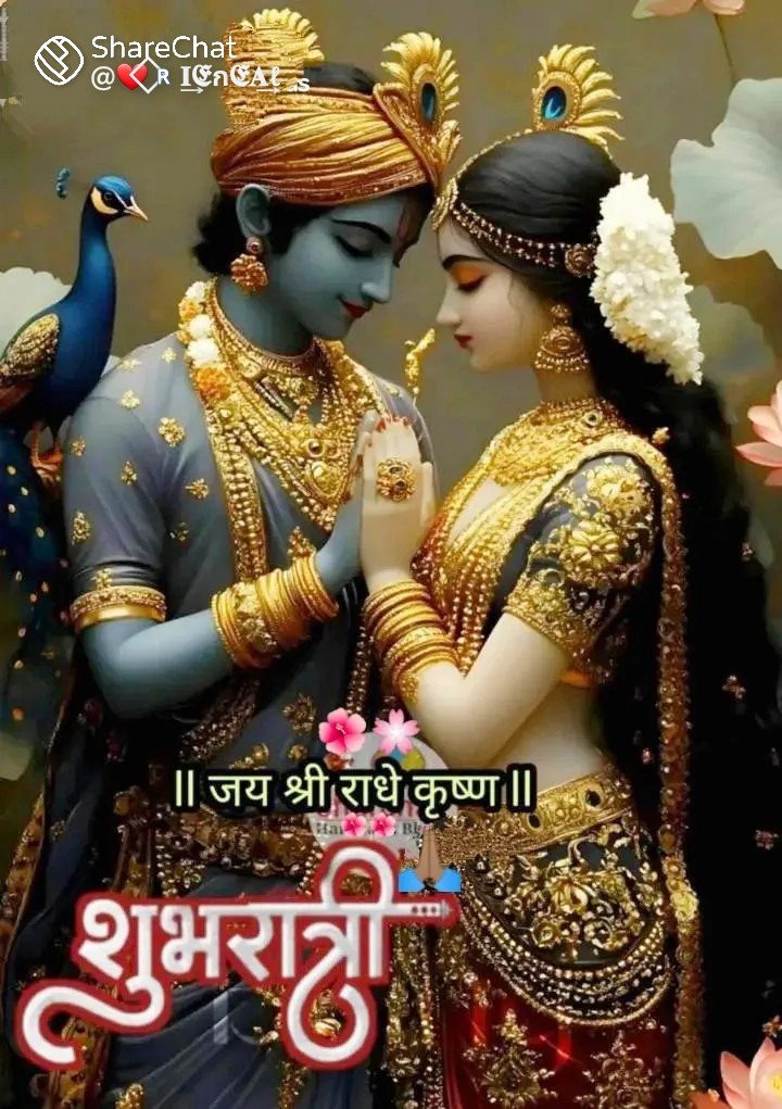 🌹🙏 जय श्री राधे कृष्ण 🙏 🌹
       🌌 शुभ रात्रि मित्रो 🌌                  ¹¹²⁹