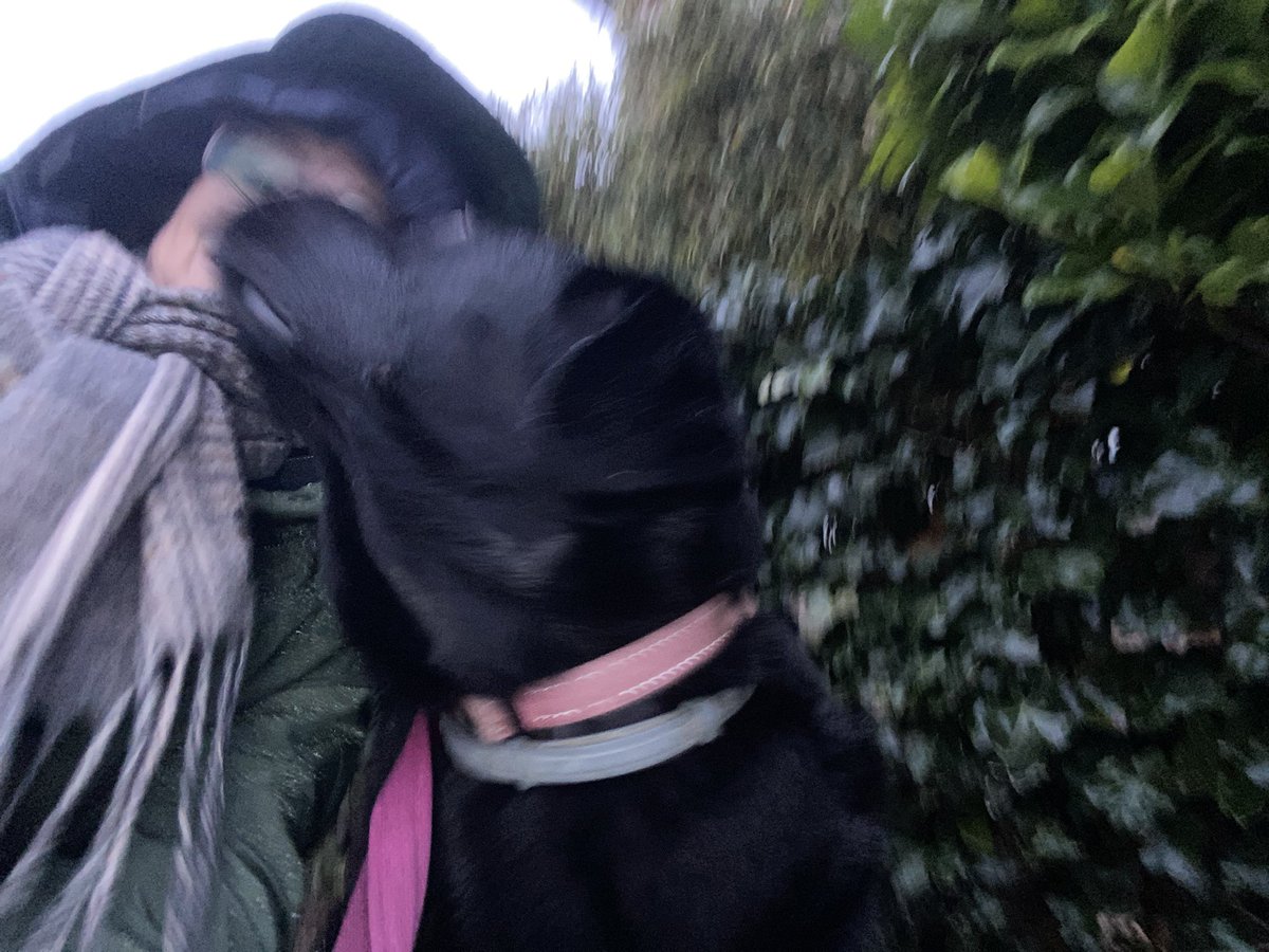 jacq7934's tweet image. Selfie mislukt in de regen ☔️😂 #storm #regen #connell