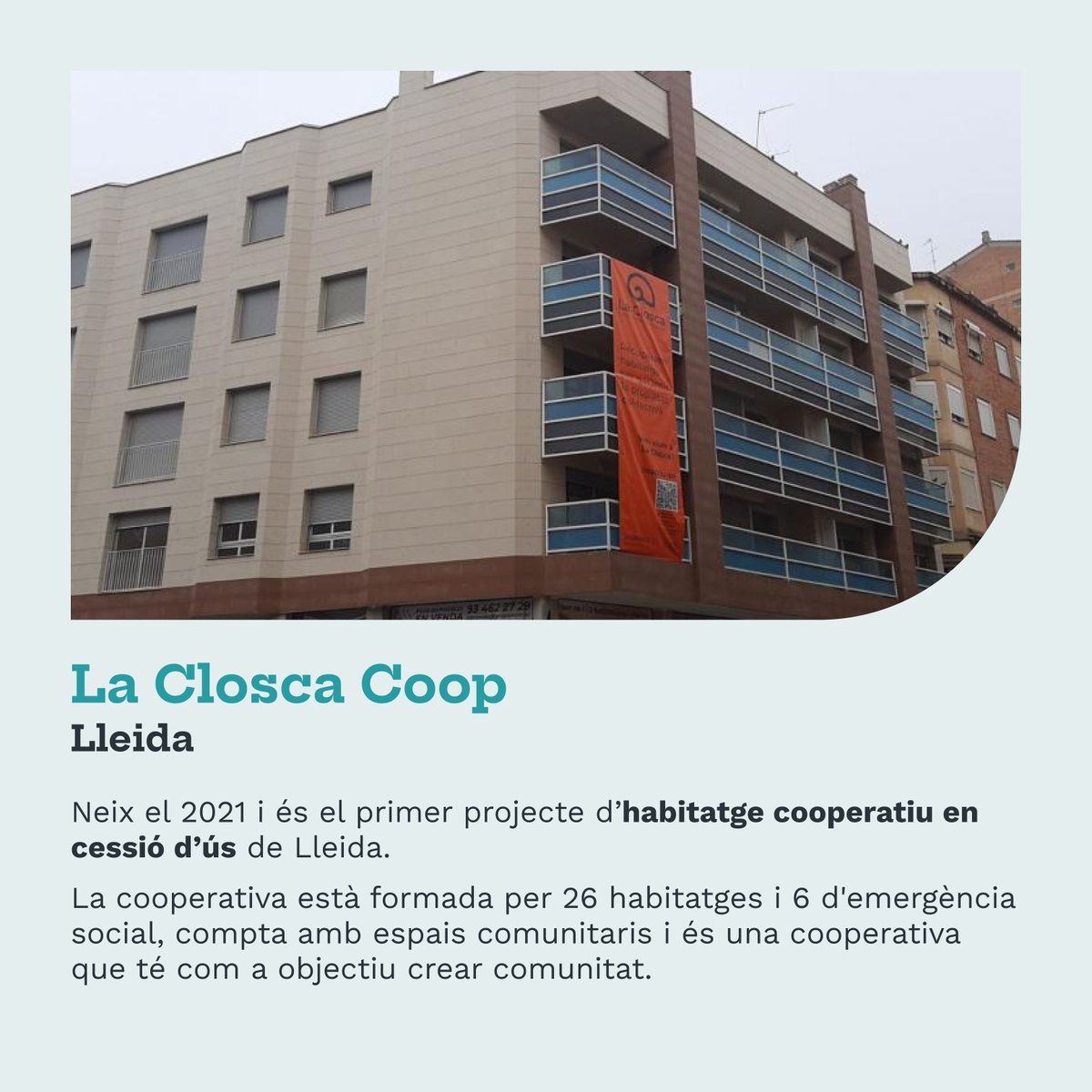 CoopCat tweet media