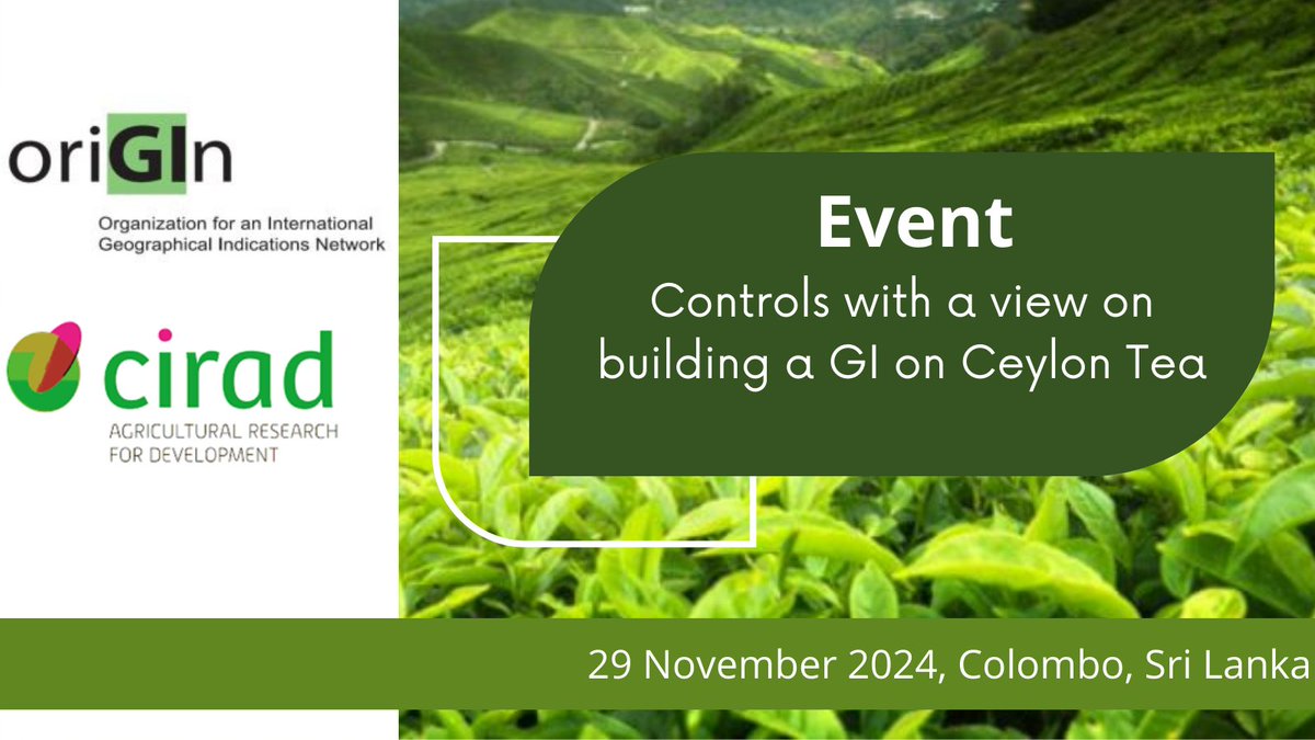 Our global network is an ideal platform for partnerships &amp; exchange of best practices on #GeographicalIndications. Glad to collaborate with <a href="/Cirad/">Cirad</a> &amp; several of our members to support Ceylon tea 🇱🇰 elaborate a strategy for monitoring markets, identify and fight GI infringements.