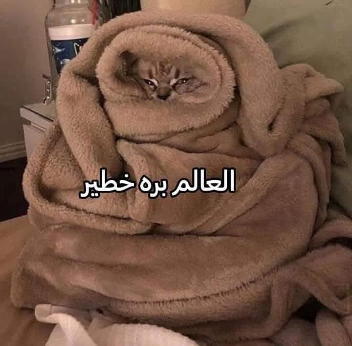 Egyptianmemees's tweet photo. الحالة https://t.co/jWfqsvxEKj