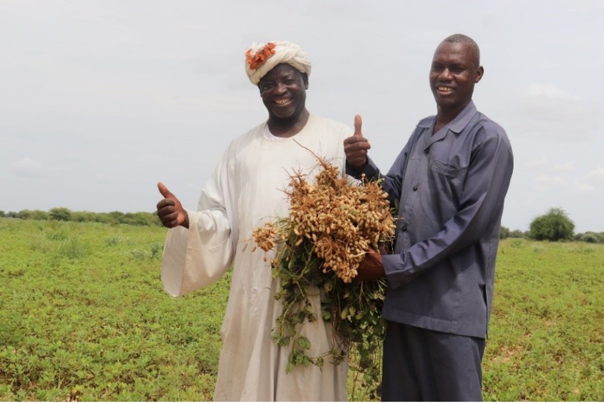 .<a href="/Silatech/">Silatech</a> and <a href="/UNDP_Sudan/">UNDP Sudan</a>  have signed a two-year partnership to support the employment of youth in #Sudan and safeguard livelihoods for conflict-affected populations in the agriculture sector to strengthen food security go.undp.org/JJv