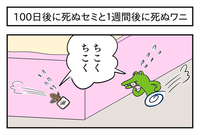 100日後に死ぬセミと1週間後に死ぬワニ
#1コマ漫画 #漫画が読めるハッシュタグ 