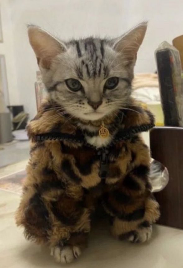 Ich, wenn ich bei dem Wetter raus muss 🤪

Habt einen schönen Tag und zieht euch warm an…