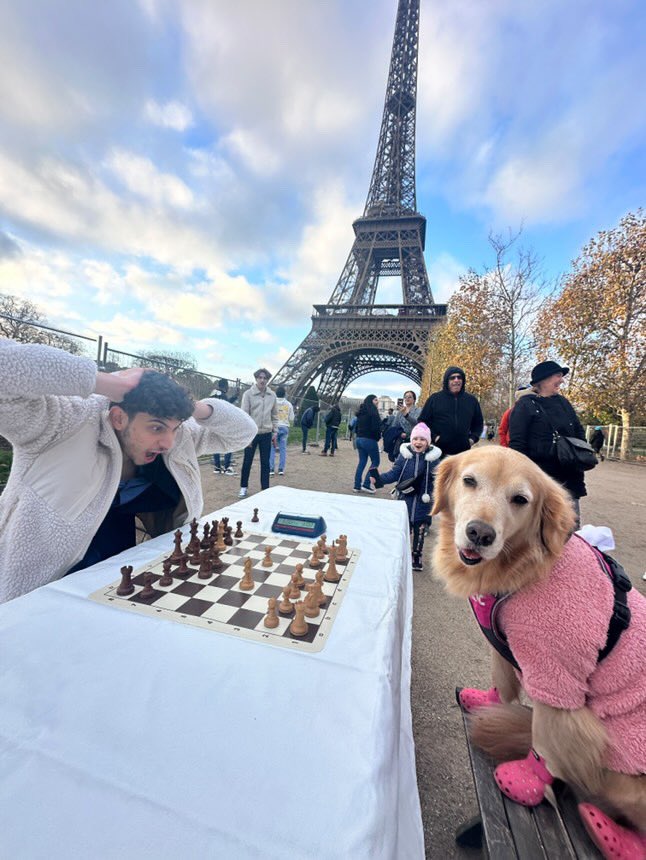 thechessnerd's tweet image. Got checkmated by a DAWG yesterday