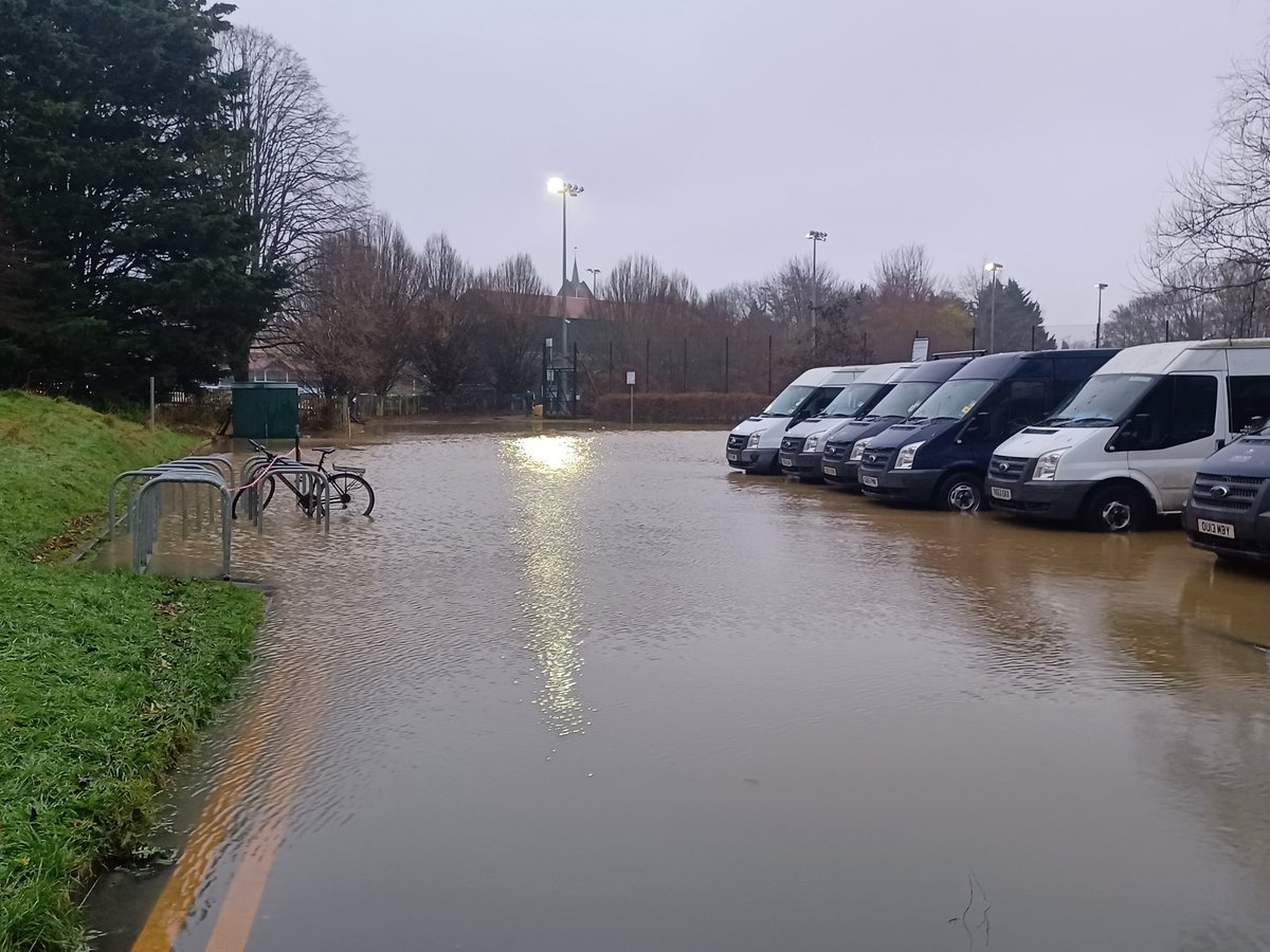 Dr Mariolina Salio 😷💙 💜 she/her tweet media