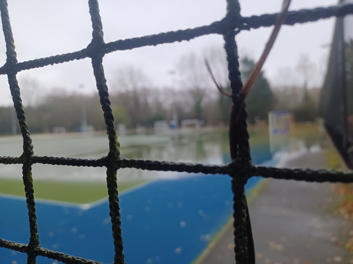 Dr Mariolina Salio 😷💙 💜 she/her tweet media