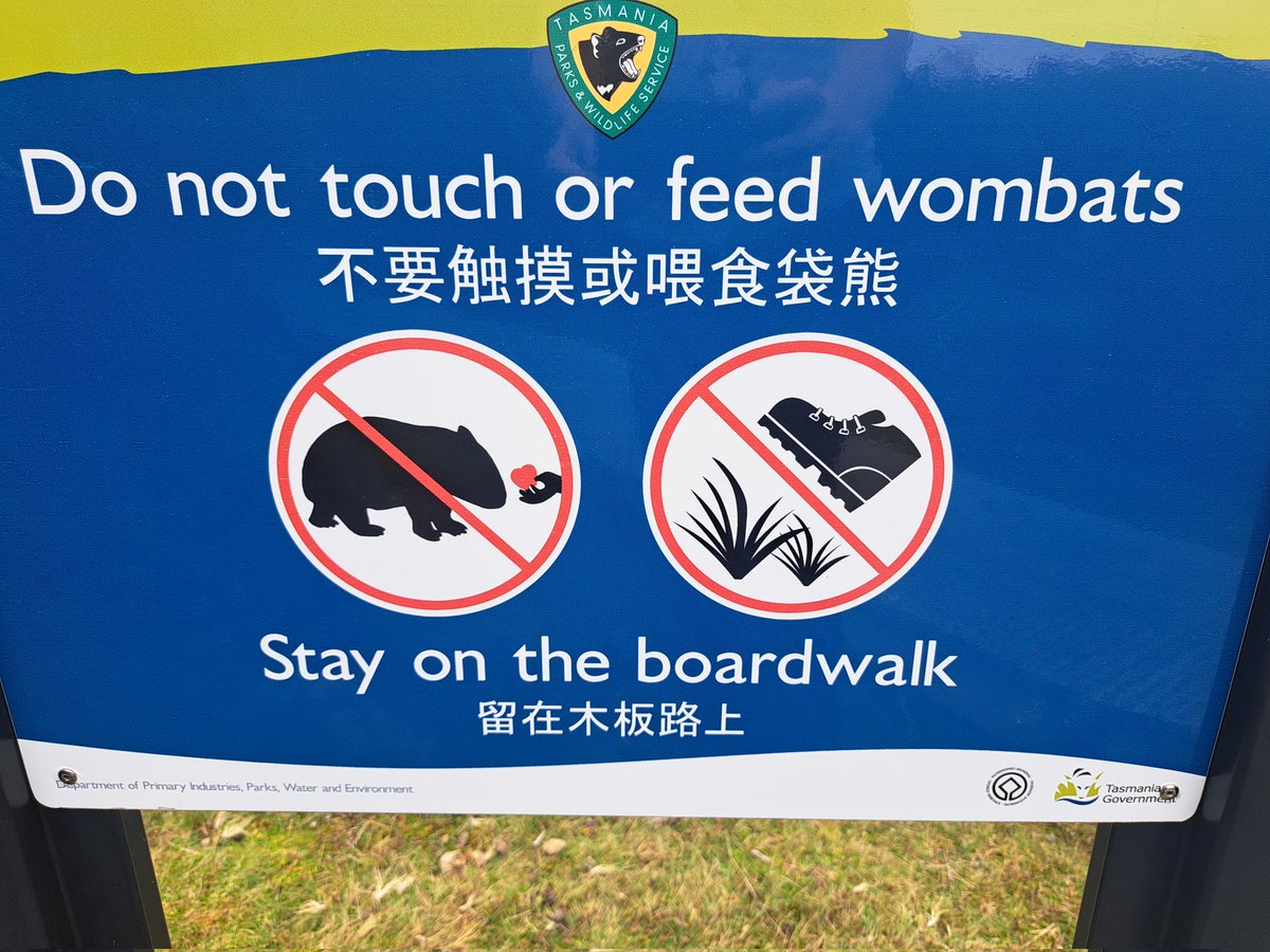 JackDAshby's tweet photo. Why makes rules that are impossible to follow?
This sign forbids you from giving your heart to a #wombat. 🧡
#WombatWednesday 
#fieldwork #Tasmania #wombats #MammalWatching #WildOz https://t.co/BCJdFv4MtU