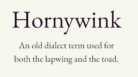 Cian McCarthy tweet media