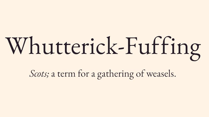 Cian McCarthy tweet media