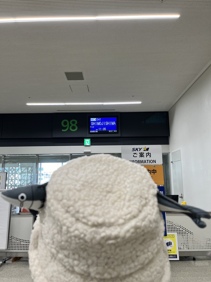 fit222_RS's tweet photo. 実は初めて降り立つ、下地島空港✈️
いつも宮古空港✈️ばかりだったから…
この時期は風向きの影響から17エンドではなく、35エンドからの着陸が多いんですよね🛬

#しもじしまくうこう 
#17end 
#35end
#きたかぜ
#きたかぜこぞう 
#かんたろう https://t.co/Uxgn4xPWI6