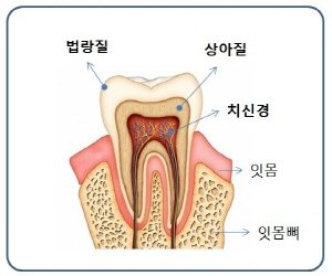 방울망고 tweet media