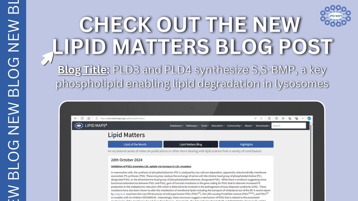 LIPID MAPS (@lipidmaps) on Twitter photo NEW BLOG POST📝- The new #lipidmatters blog is titled: 'PLD3 and PLD4 synthesize S,S-BMP, a key phospholipid enabling lipid degradation in lysosomes'. Click the link to read the blog NOW!! - lipidmaps.org/updates/lipidm… NEW BLOG POST📝- The new #lipidmatters blog is titled: 'PLD3 and PLD4 synthesize S,S-BMP, a key phospholipid enabling lipid degradation in lysosomes'. Click the link to read the blog NOW!! - lipidmaps.org/updates/lipidm…
