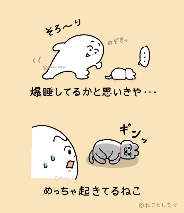 爆睡してるかと思いきや・・・ 