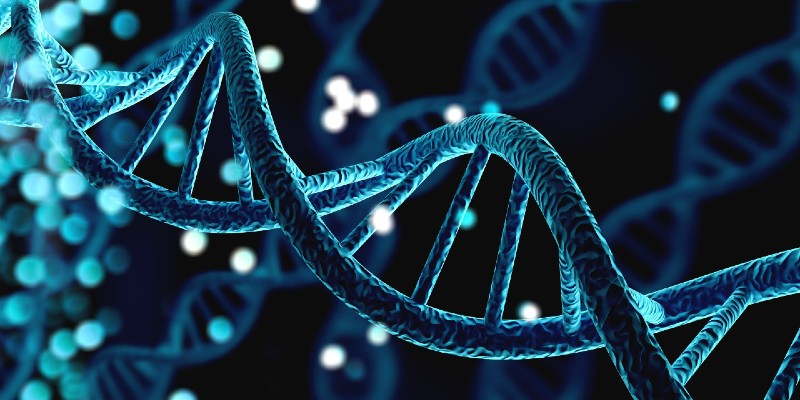 TONIGHT at 6.30pm - Agnes Noy reveals high-resolution images of DNA’s dynamic structure, showing how cellular stress alters its shape, impacting sustainable genome applications.

Dancing DNA - FREE WEBINAR - with <a href="/UoY_PET/">UoY School of Physics, Engineering and Technology</a>

ow.ly/e9Ho50U8UbZ
