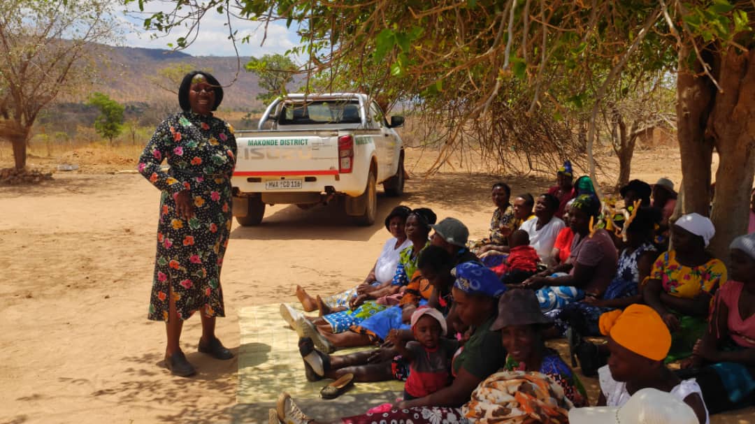 The Environmentalist tweet media