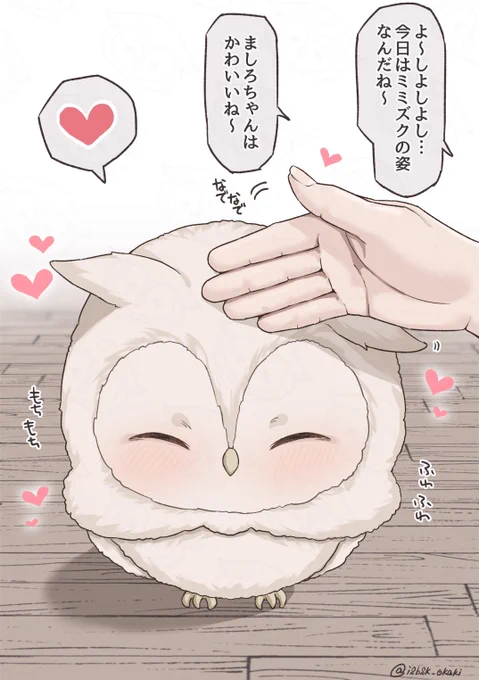 たくさんなでなでして欲しいミミズクちゃん🦉✨️ 