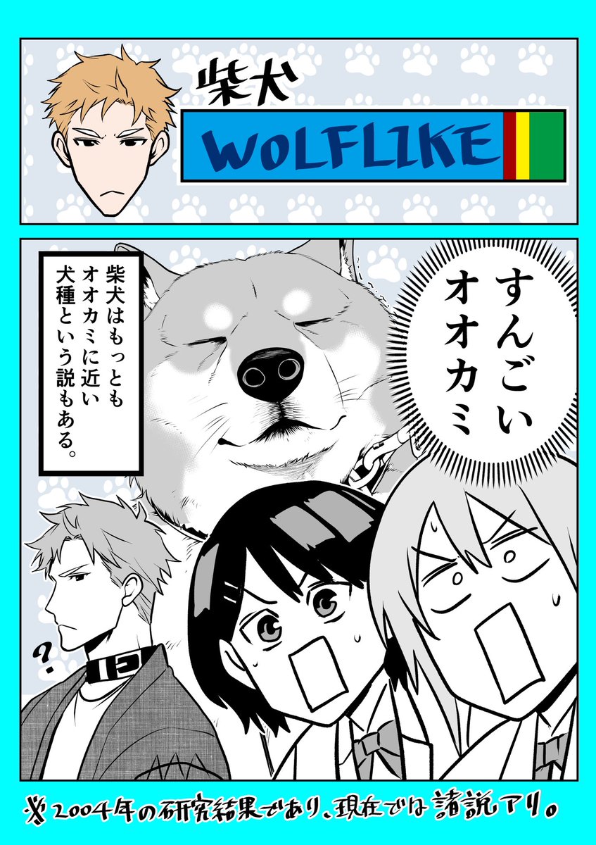 <おまけ>でぃーえぬえー 