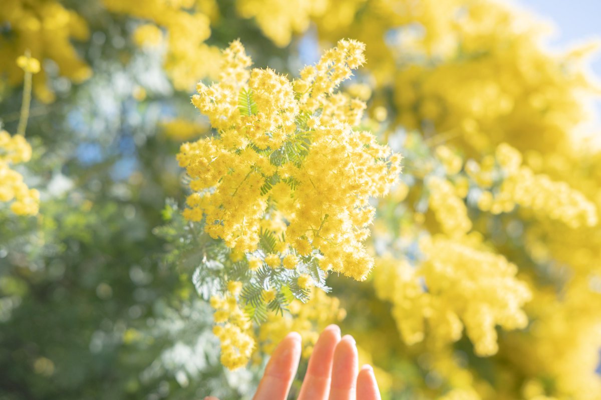 あの日見た夢の続きを探してる。