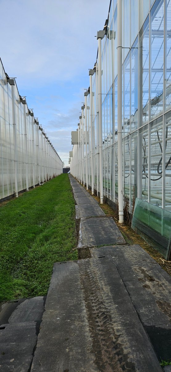 Van het ene project met luchtbehandelingskasten aan de gevel naar het andere. <a href="/kp_holland/">KP HOLLAND</a>  is deze week opgeleverd met 16 LBK's en bij Van Duijn De Jong Aubergines zijn we deze week gestart voor in totaal 20 LBK's.