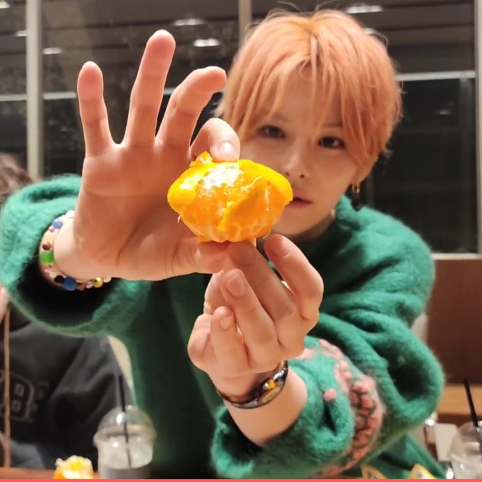 이 고양이 뭐야