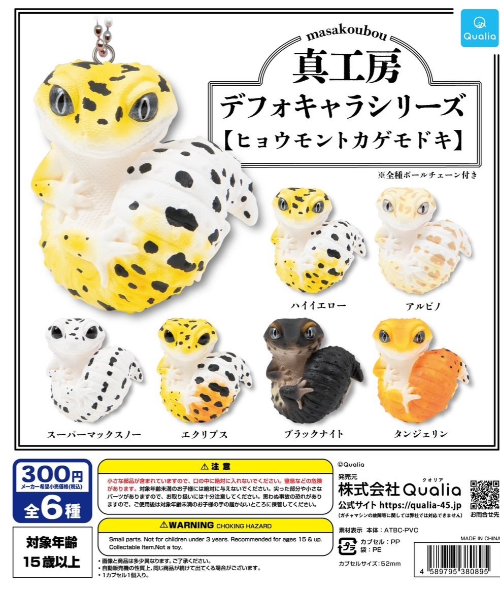 難あり 真工房 レア 狛はちゅ フトアゴ レオパ セット爬虫類